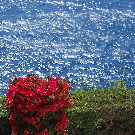 Casa Orrico - Blue Grotto - 아나카프리