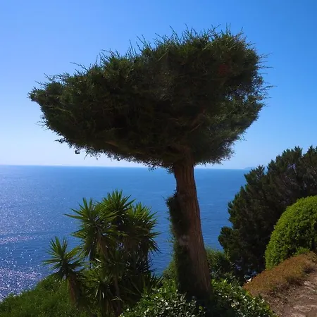 Casa Orrico - Blue Grotto - Maison d'hôtes Anacapri (Isola di Capri)
